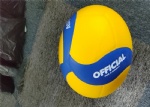 PU leather volleyball